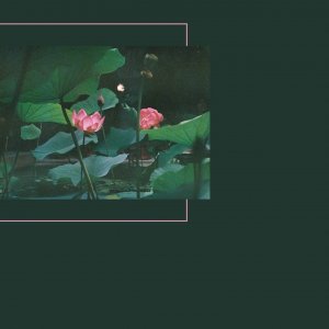 YOURNECK - Нарушая связи